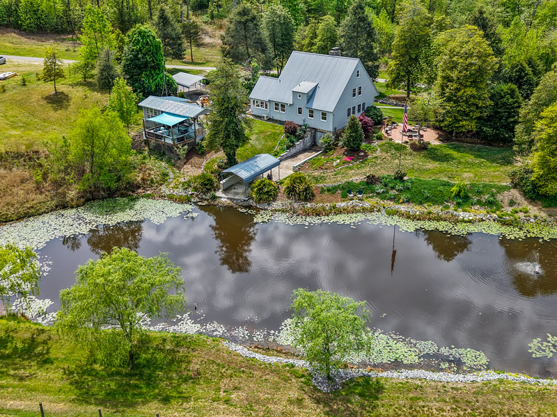 Backyard Pond Backyard Pond