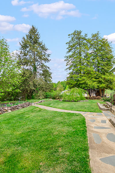 Grassy outdoor area Grassy outdoor area